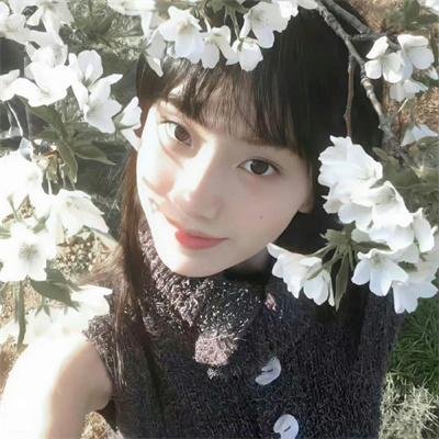 朱门情仇